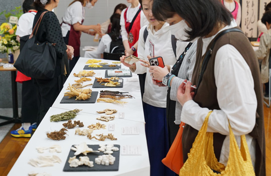 韓方ウィーク2026～自分に合う韓方を、日々の暮らしに～