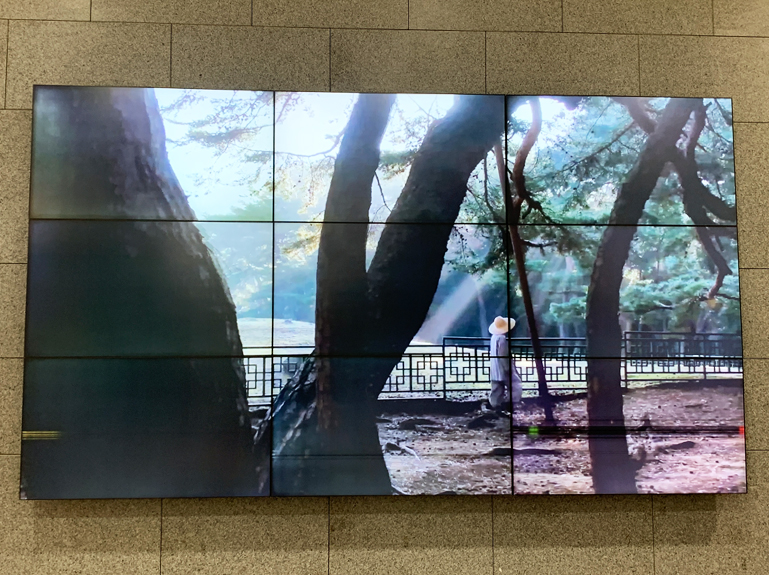 慶州を紹介する動画も上映