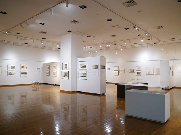 展示の風景