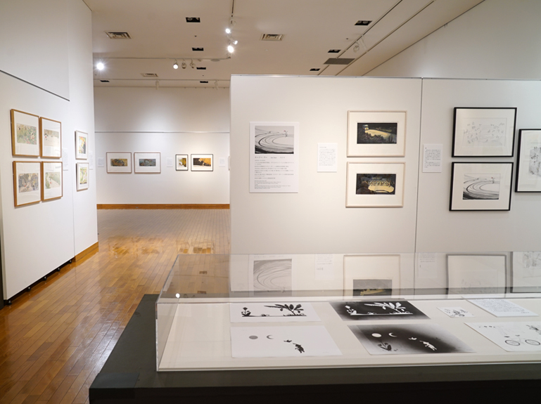展示の風景