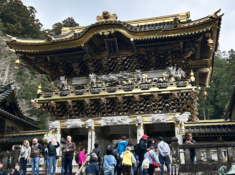フィールドワークの風景
