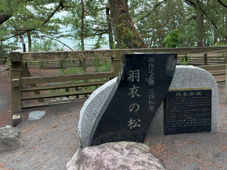 三保の松原～羽衣の松