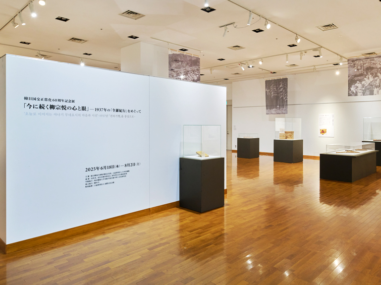 展示全景