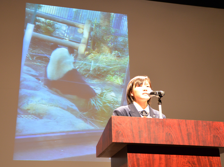 フォトメッセージ1人部門