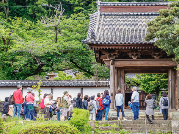 清見寺見学の様子