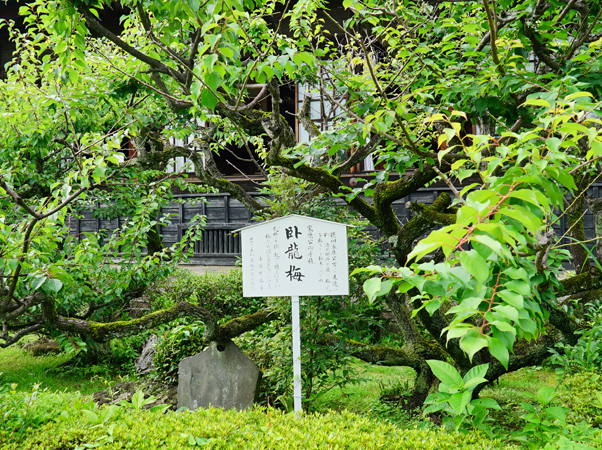 清見寺の風景