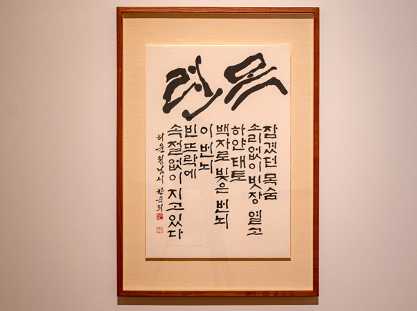 展示作品
