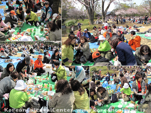 北の丸公園で花見を楽しみました。